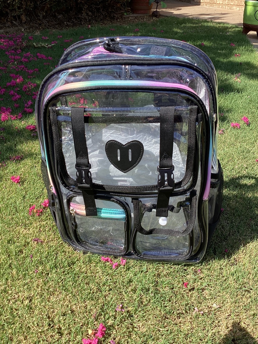 Clear Black Backpack